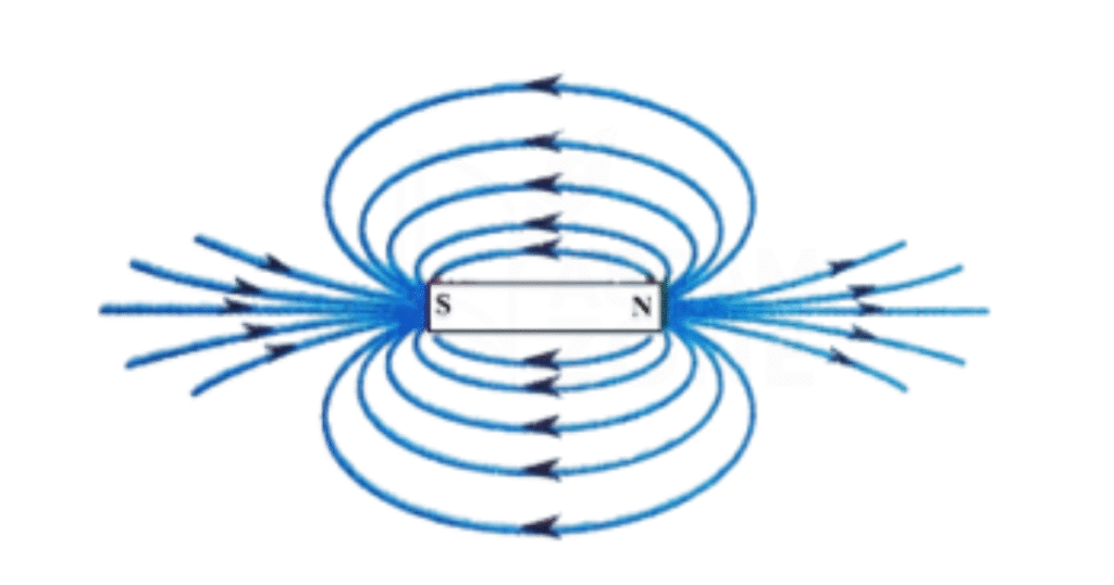 SEBA Class 10 General Science Chapter 13 Assamese